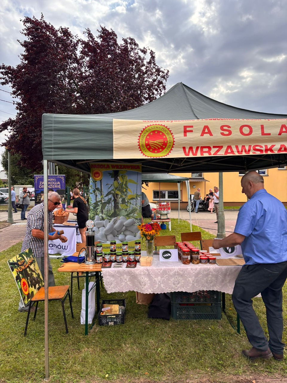 Zdjęcie artykułu W Widłach Wisły i Sanu